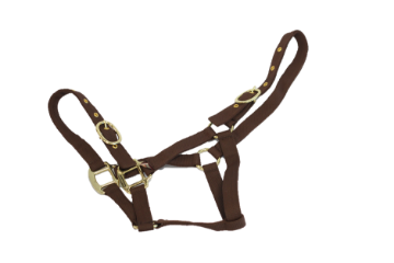 NYLON HEADCOLLAR FOAL BROWN