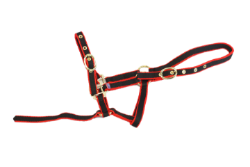 NYLON HEADCOLLAR SUCKLING RED/BLACK