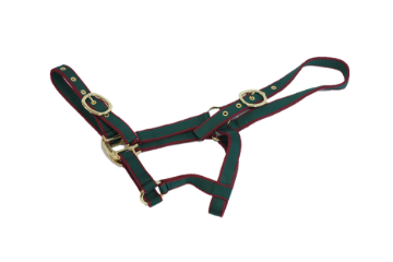 NYLON HEADCOLLAR FOAL GREEN/BURGUNDY