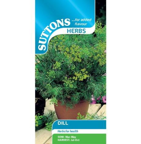 Dill - Herb Seeds