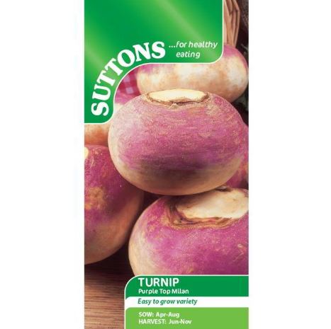 Turnip &