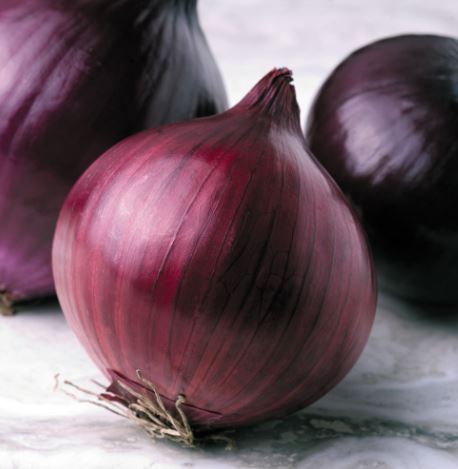 Onion F1 &