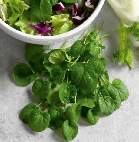 Cress &