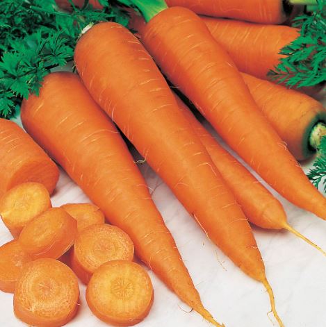 Carrot &