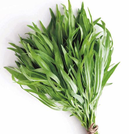 Tarragon &