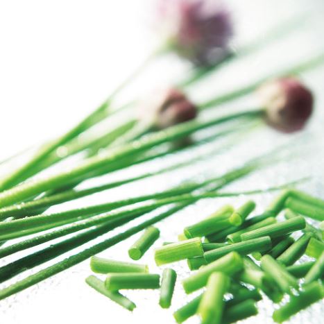 Chives - Herb Seeds