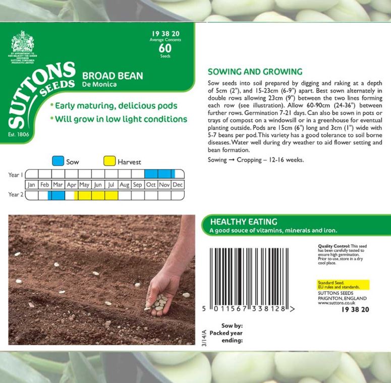 Broad Bean &