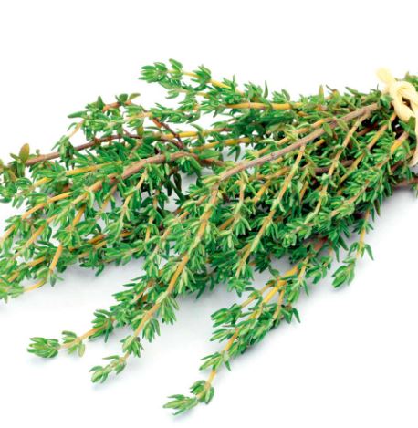Thyme &
