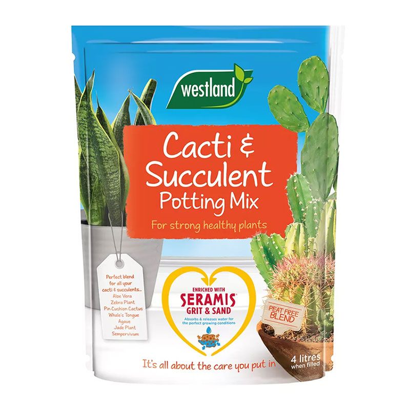 Westland Cacti & Succulent Potting Mix Peat Free 4L
