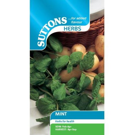 Mint - Herb Seeds