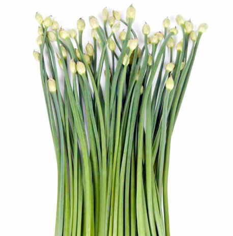 Garlic Chives - Herb Seeds