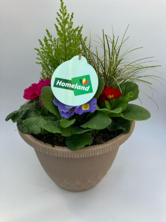 Homeland Olive Planter