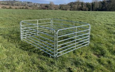 Condon 5ft Sheep Hurdle