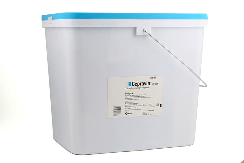 Cepravin Dry Cow - 200 Pack
