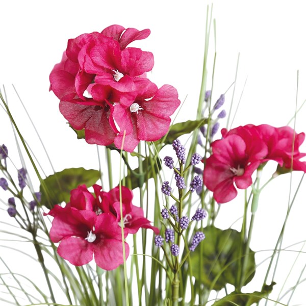 Begonia Grass Bundle 45cm