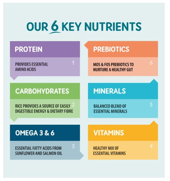 Naturo Adult Wet Lamb & Rice 400g