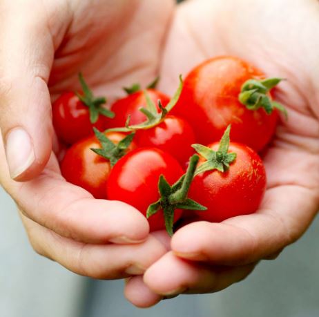 Tomato &