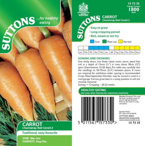 Carrot &
