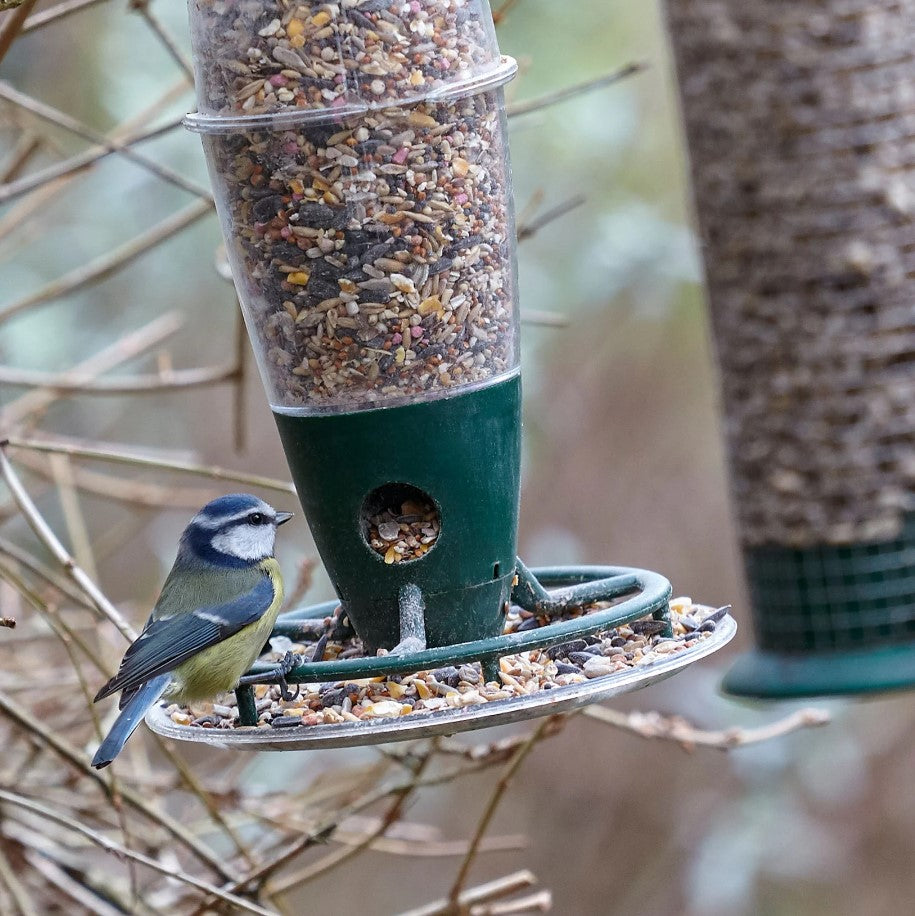 Peckish 3 Port Multi Seed Bird Feeder - Wide Base