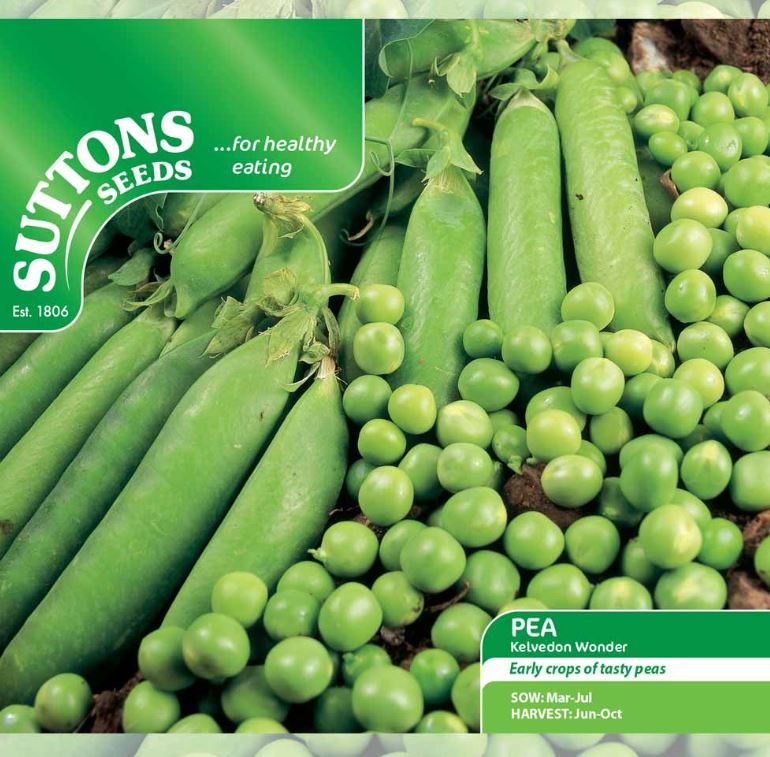 Pea &