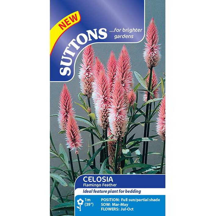 Celosia &