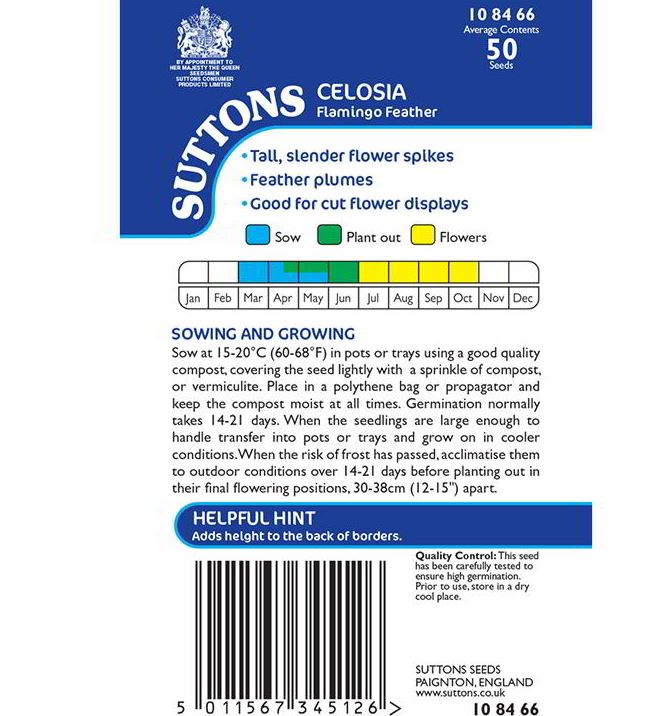 Celosia &