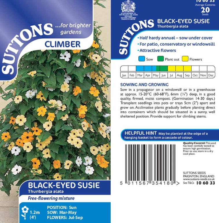 Black-Eyed Susie - Seeds