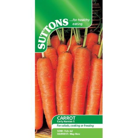 Carrot &