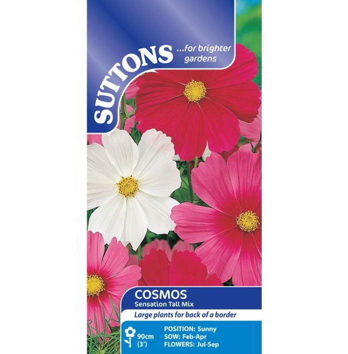 Cosmos &