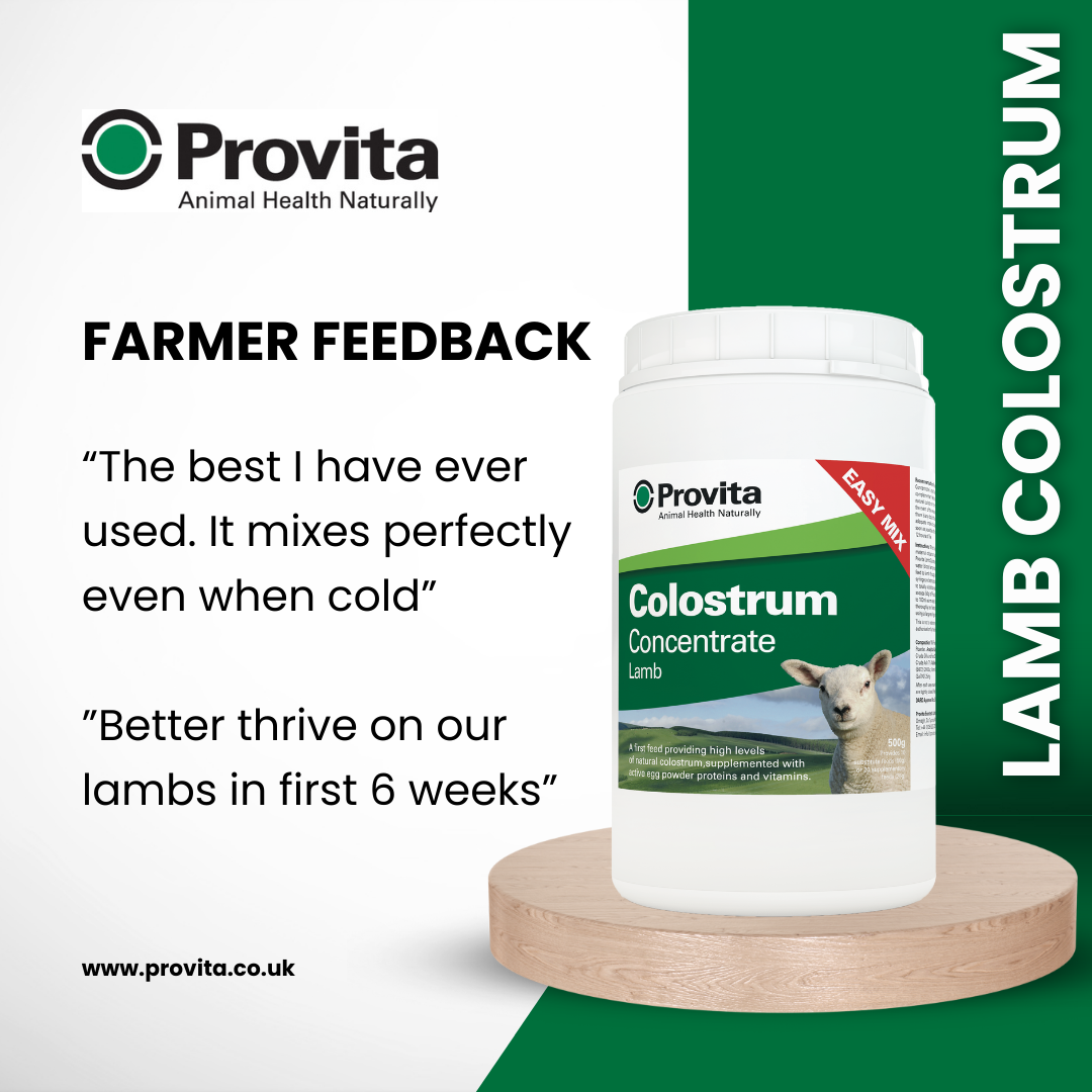 Provita Lamb Colostrum 500g