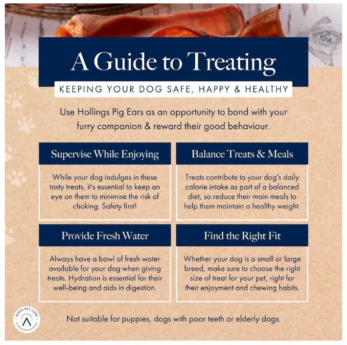 Hollings Pig Ears Natural Dog Treats 2pk