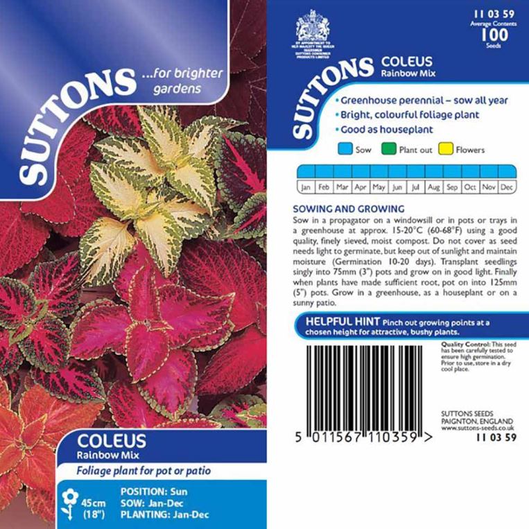 Coleus &