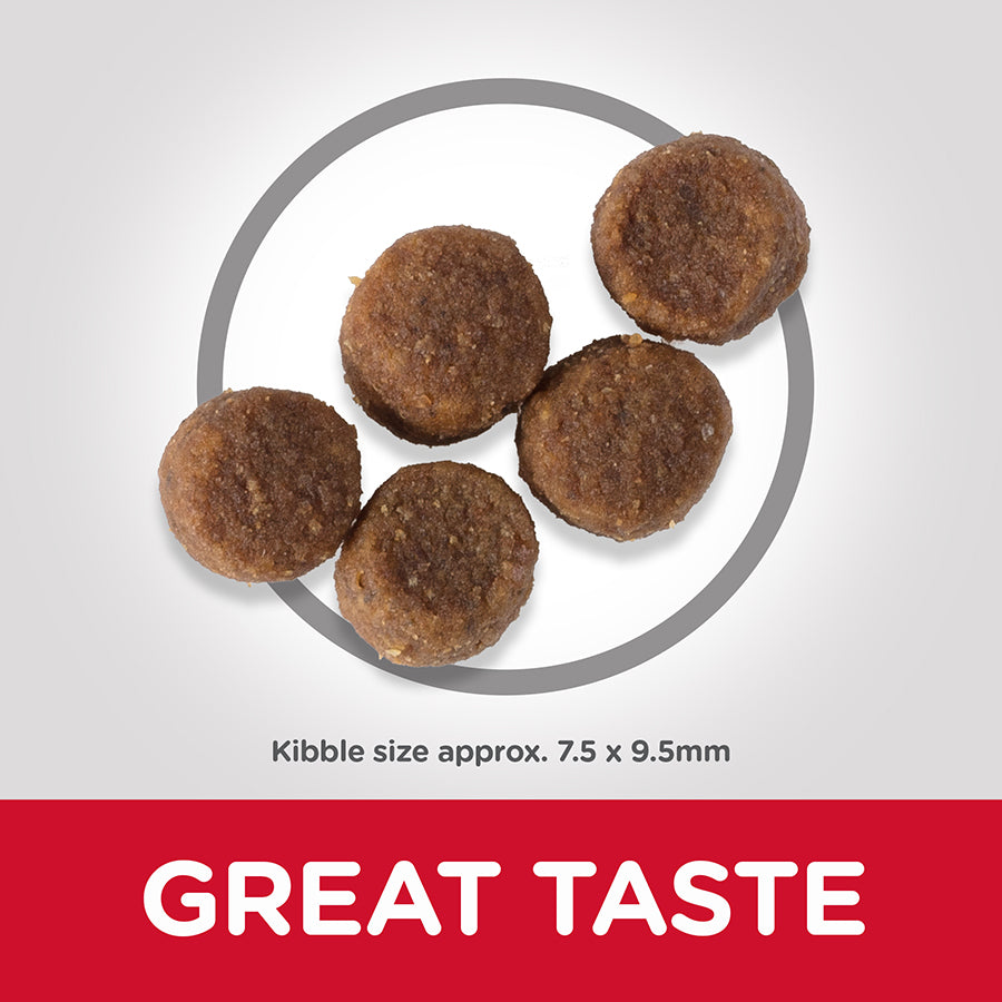 Hills Science Plan Canine Puppy Medium Chicken