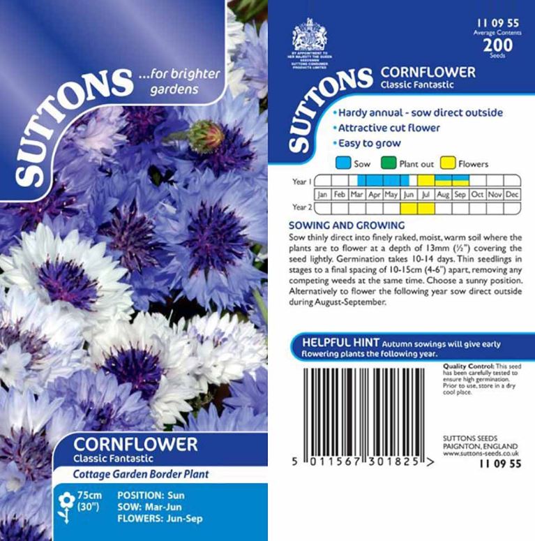Cornflower &