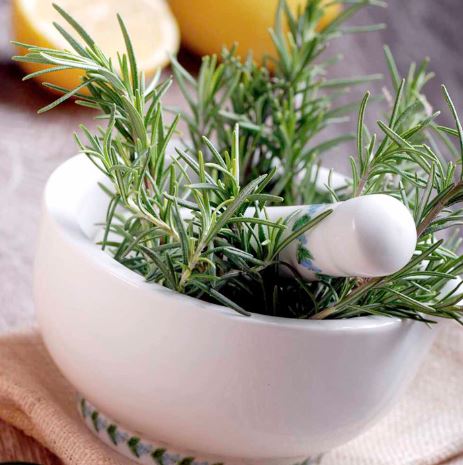 Rosemary - Herb Seeds