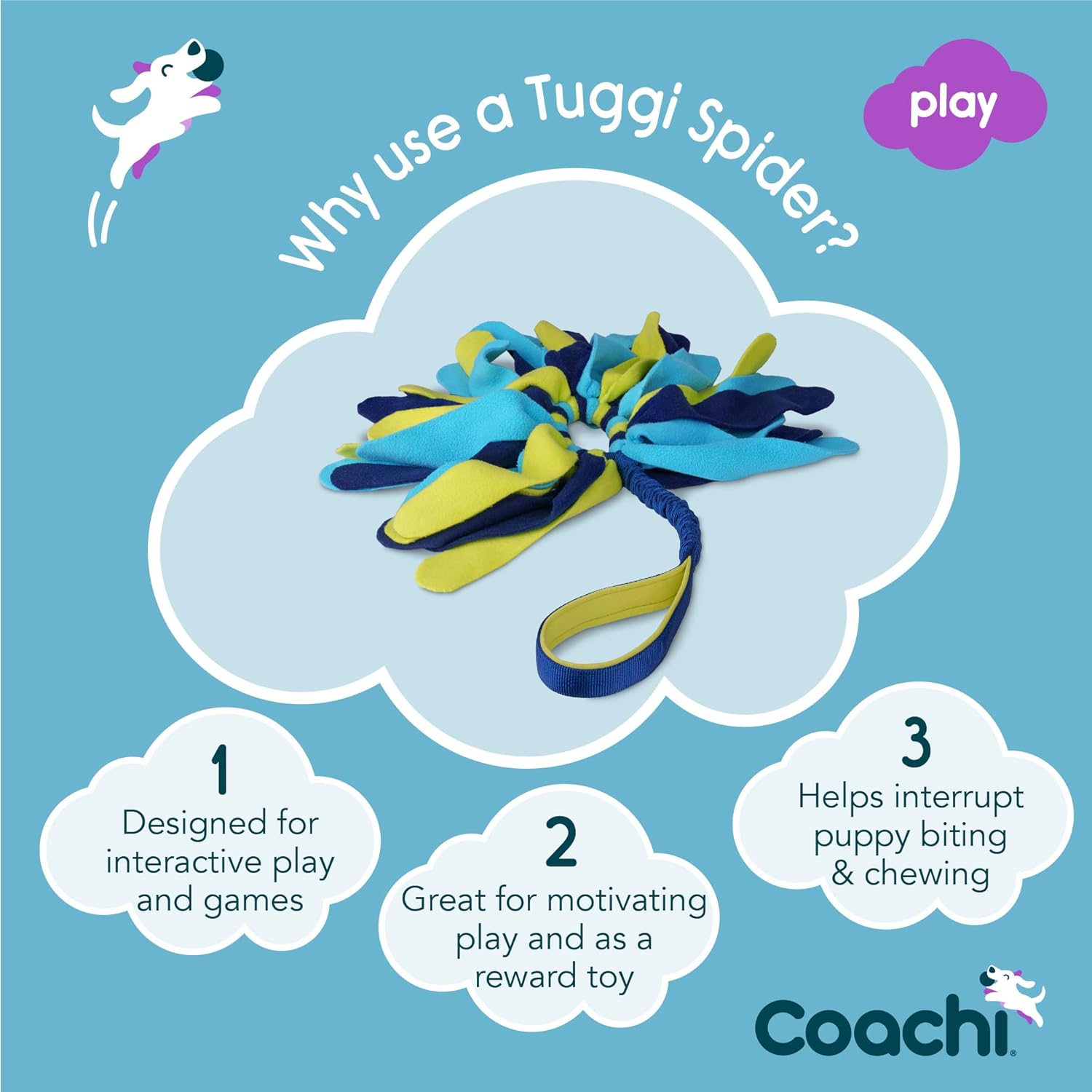 Coachi Tuggi Spider Dog Toy - Navy, Lime & Blue