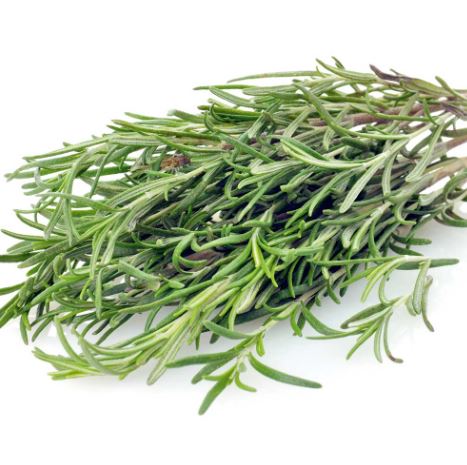 Rosemary - Herb Seeds