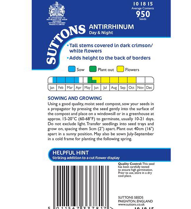 Antirrhinum &