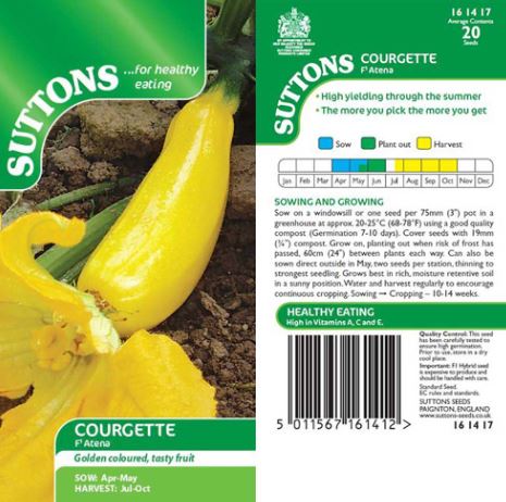 Courgette F1 &