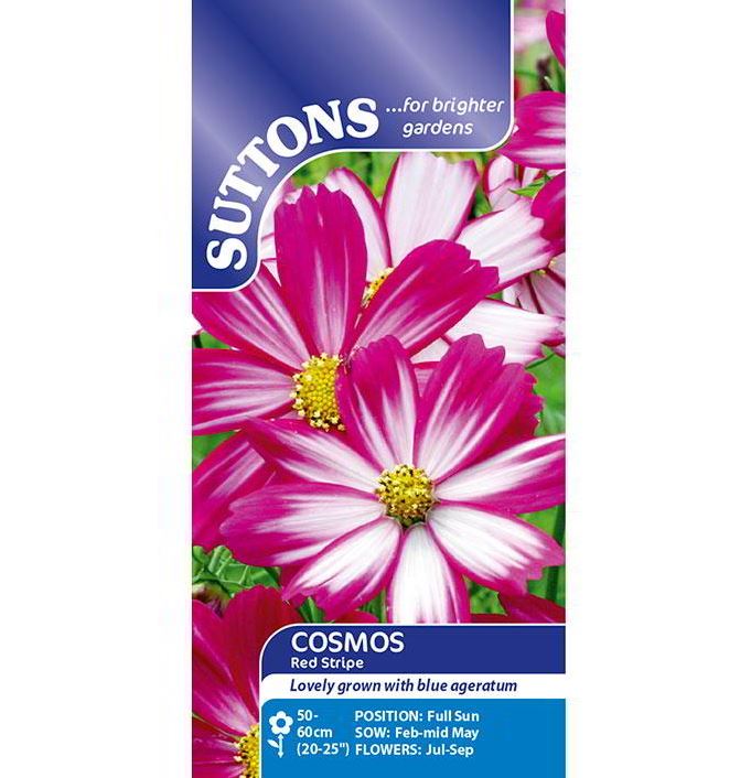 Cosmos &