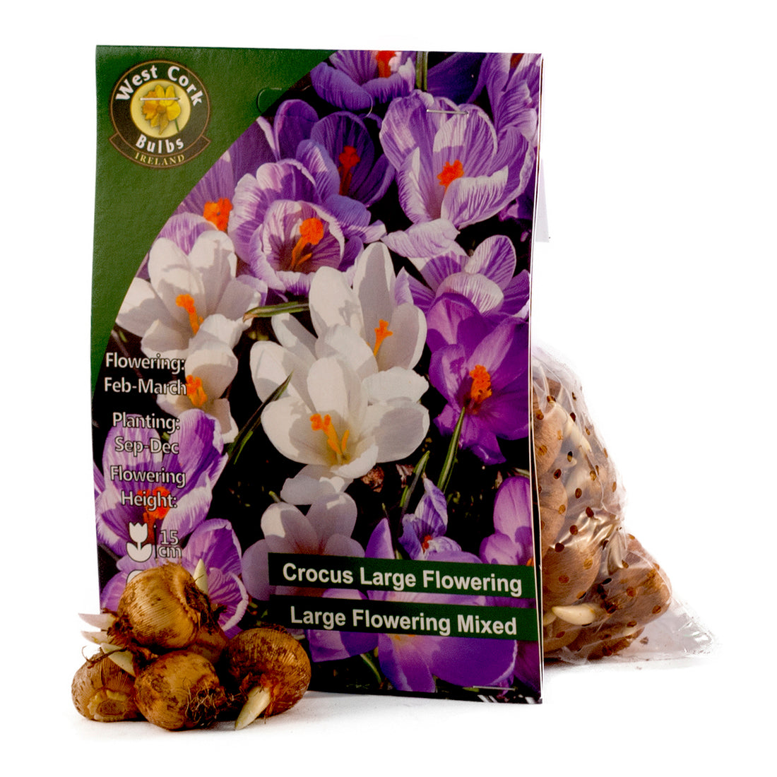 Crocus Mixed Large Flowering - 50 Bulbs