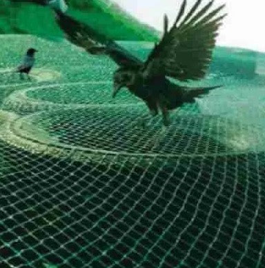 Bird Protection Net (Silanet)