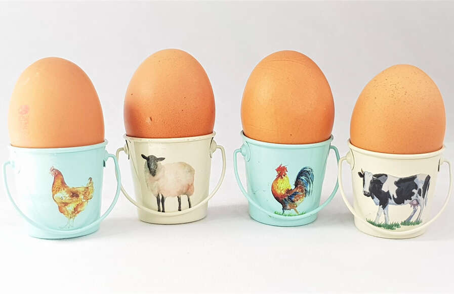 Farm Friends Eggcups Set Of 4