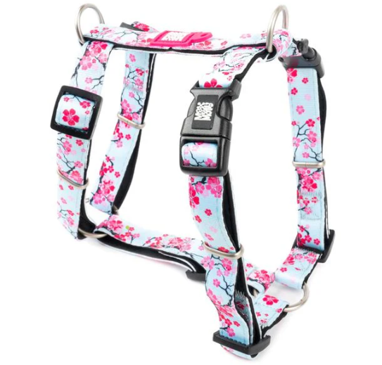 M&M Cherry Blossom H Harness