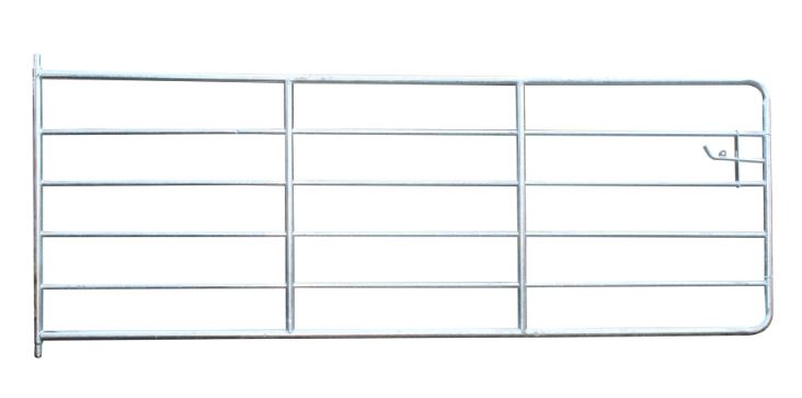 12FT Light Field Gate