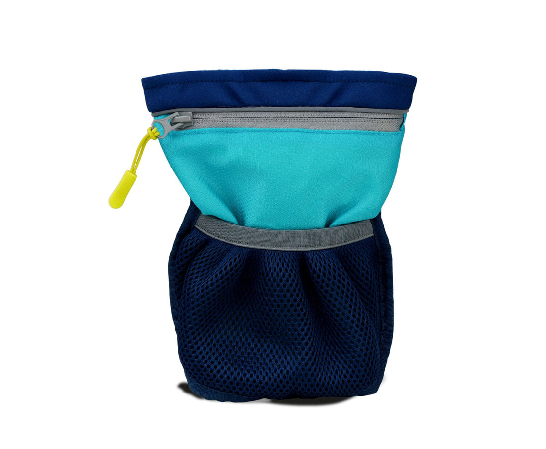 Coachi Pro Train & Treat Bag - Navy & Blue