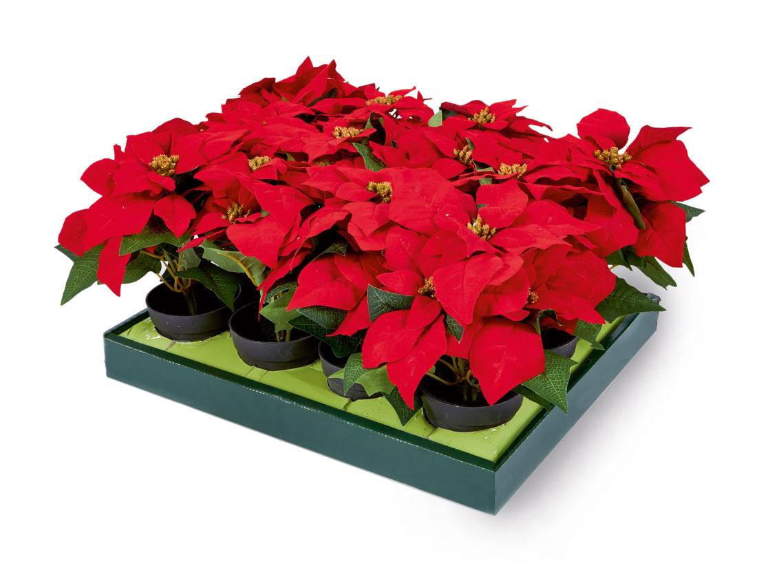 Red Poinsettia in Vase - 24CM
