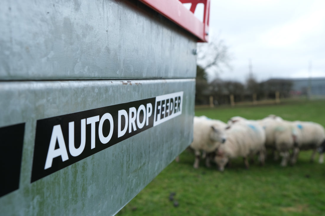 Quad-X Auto Drop Feeder Controller & Nudge - 370L