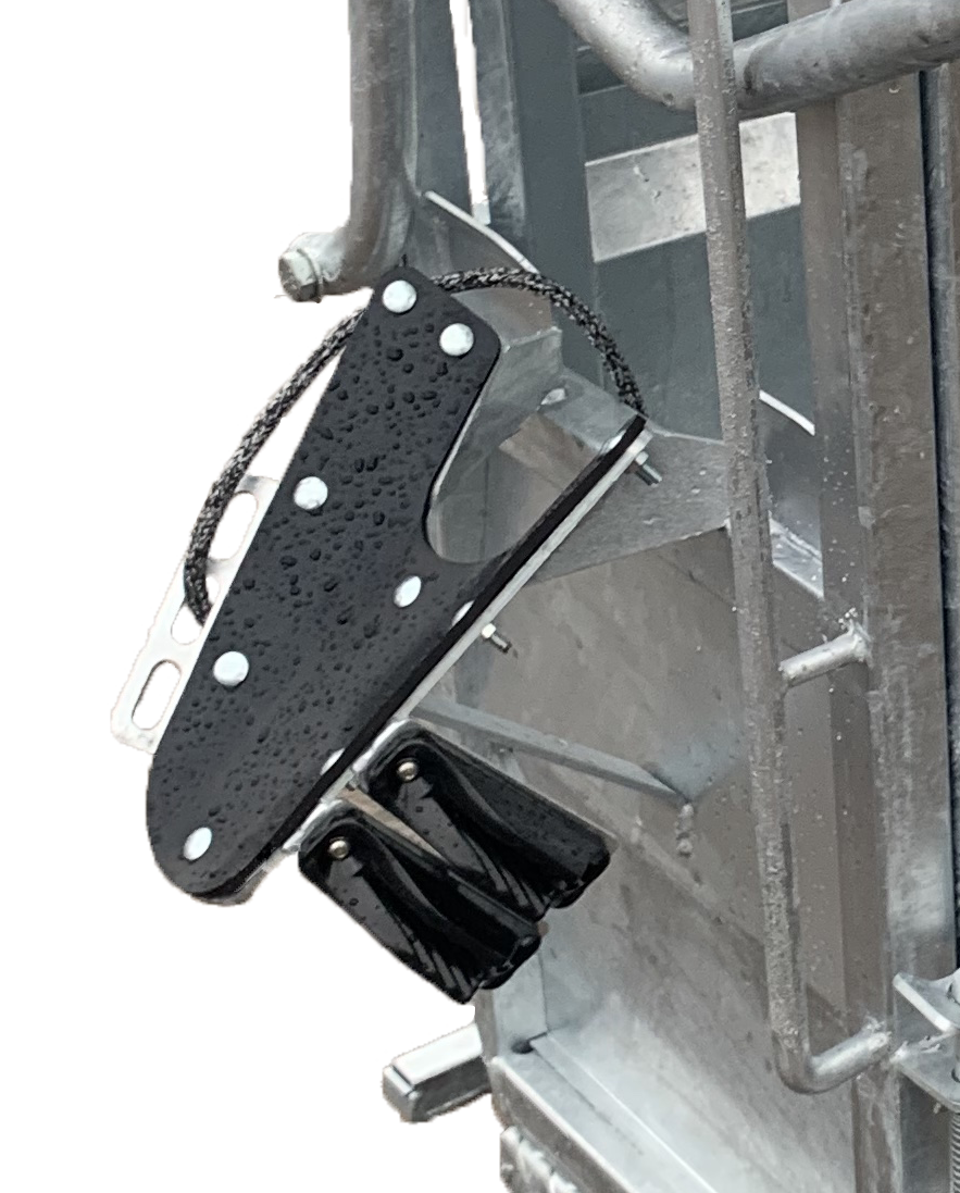 Condon Deluxe Calf Dehorning Crate