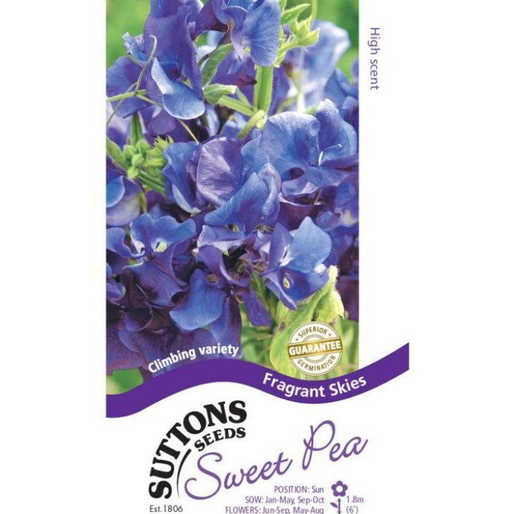 Sweet Pea Fragrant Skies Flower Seeds